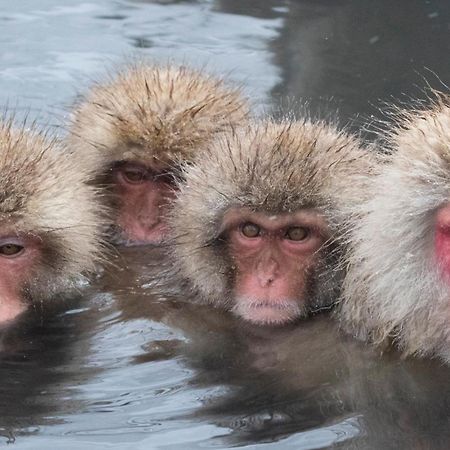 Kotobuki Otel Yamanouchi  Dış mekan fotoğraf